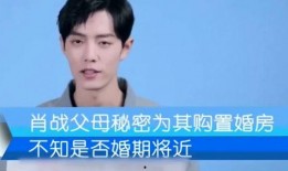 肖战爸爸爆料视频大全集,揭秘明星家庭背后的故事
